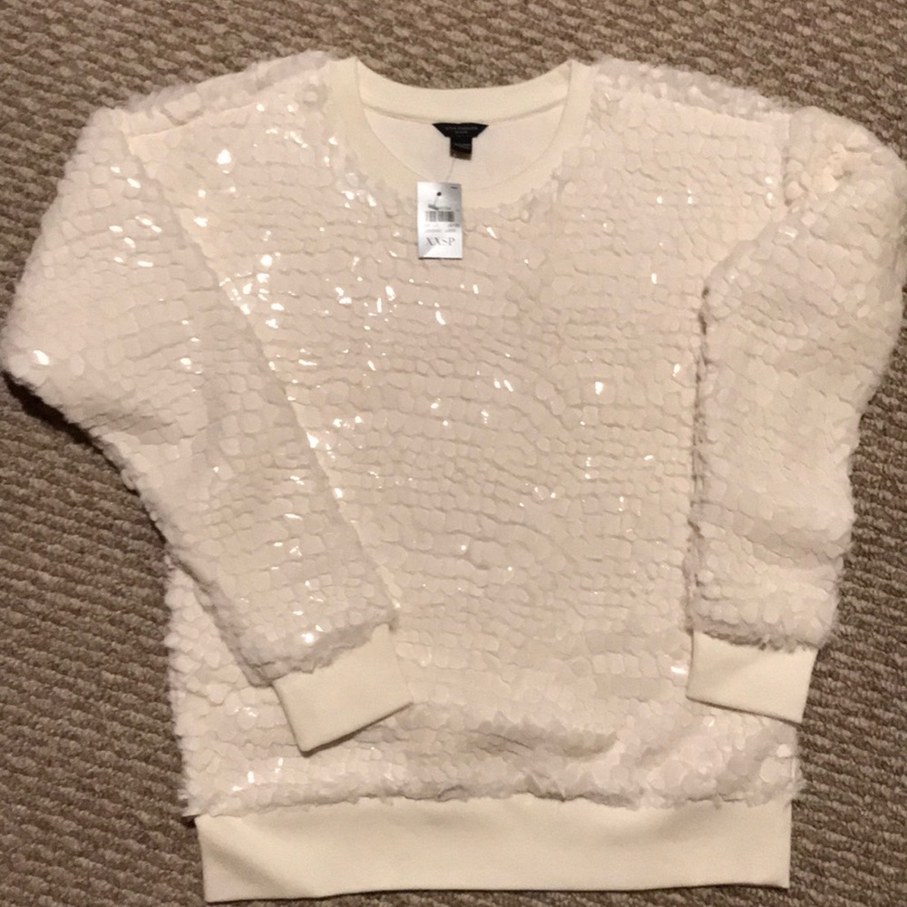 Ann Taylor sweater